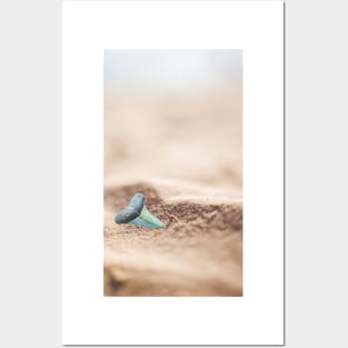 Shark Tooth in the Sand Posters and Art